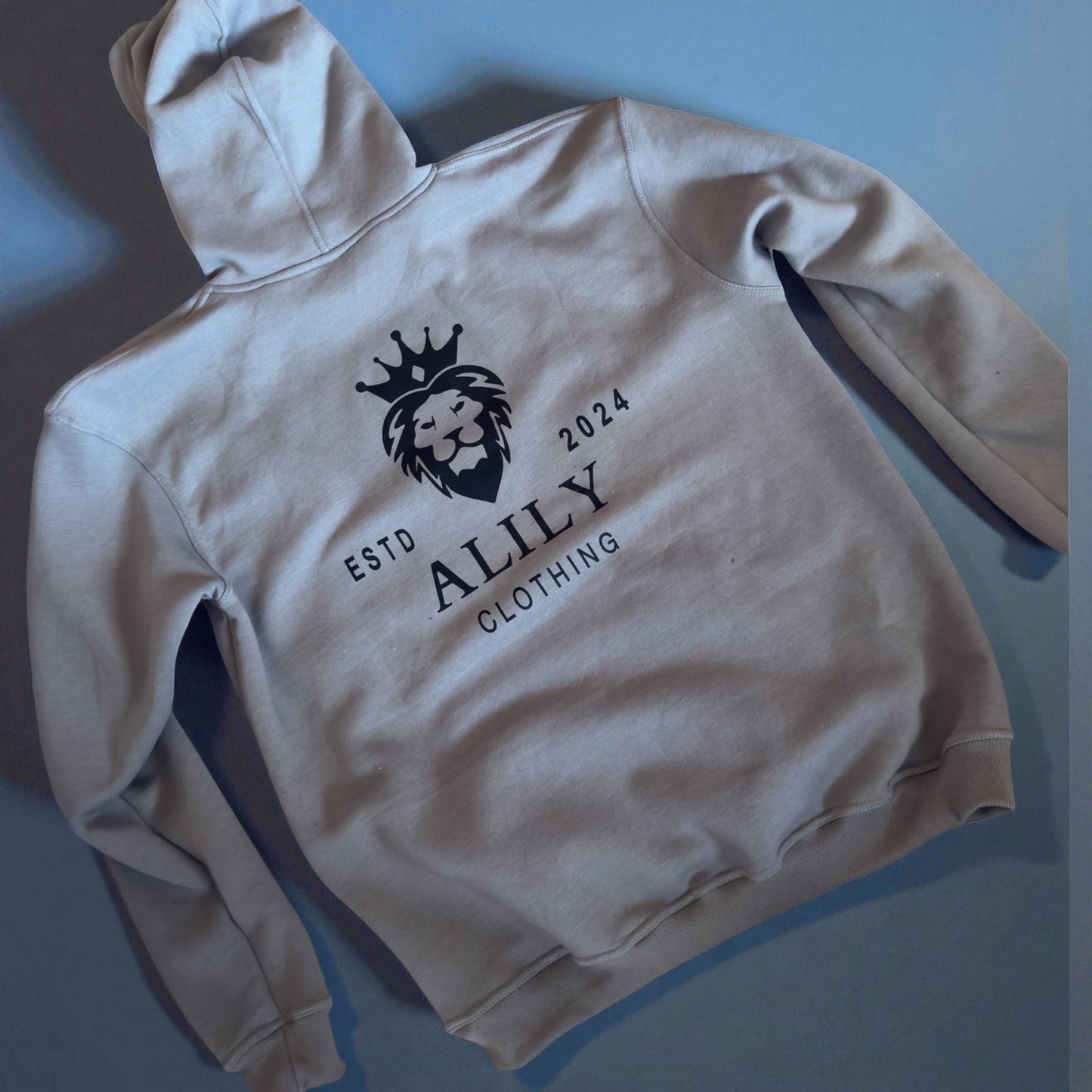 Core hoodie